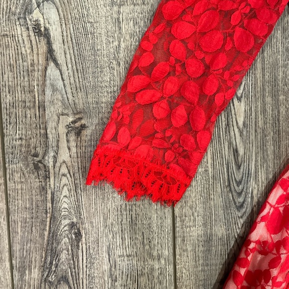 Free People Red Lace Fit & Flare Dress | Size 2 | Boho Party Dress - Picture 8 of 12